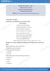 Đề thi học kì 1 Văn 8 Kết nối tri thức - Đề số 1